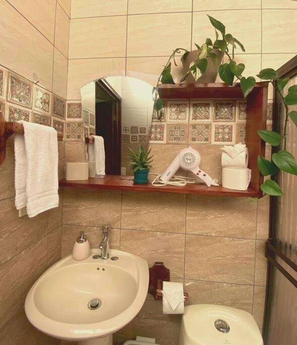 Peace Garden Apartment Monteverde Dış mekan fotoğraf