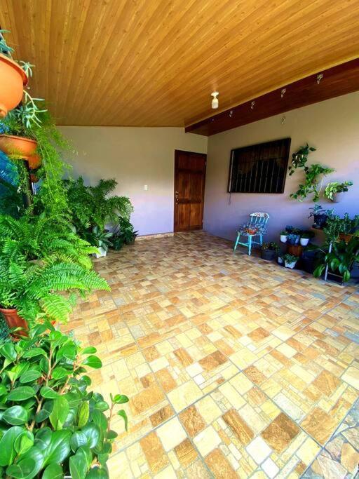 Peace Garden Apartment Monteverde Dış mekan fotoğraf