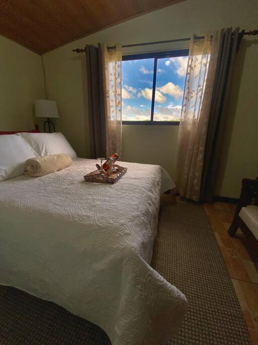 Peace Garden Apartment Monteverde Dış mekan fotoğraf