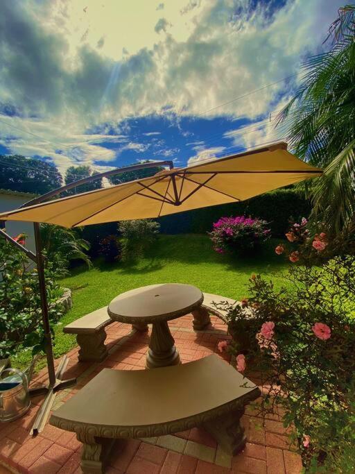 Peace Garden Apartment Monteverde Dış mekan fotoğraf