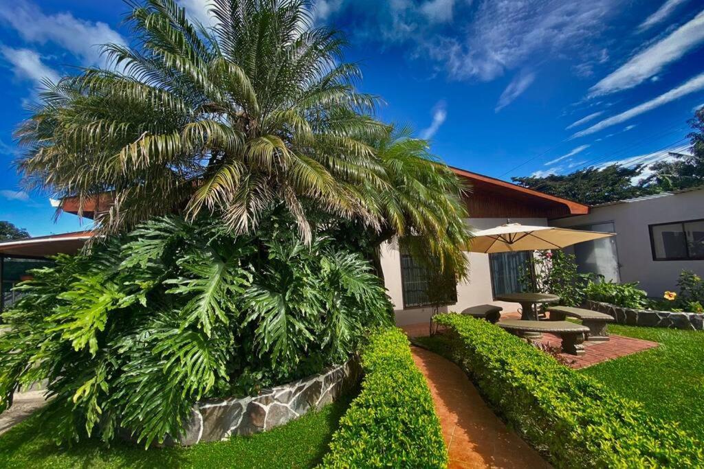 Peace Garden Apartment Monteverde Dış mekan fotoğraf